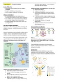 Protein Science Notes: Catalytic Antibodies