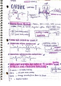 Cardiac Lecture Notes