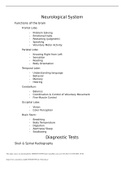 Neurological System&period;pdf