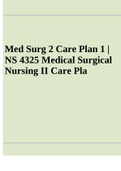 Med Surg 2 Care Plan 1 | NS 4325 Medical Surgical Nursing II Care Plan.