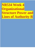 NR534 Week 4 Organizational Structure Power and Lines of Authority B