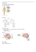Samenvatting Neuro-anatomie en Neuro-fysiologie 2.1 Fysiotherapie