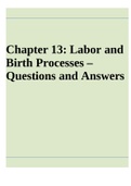 Chapter 13&colon; Labor and Birth Processes &ndash; Questions and Answers