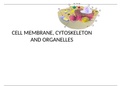 CELL MEMBRANE, CYTOSKELETON AND ORGANELLES. Detailed Notes