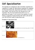Cell Specialization Lecture Notes