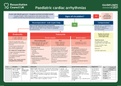 Paediatric-Cardiac-Arrhythmias-Algorithm-2021-Frcem-Resources&period;pdf