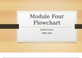 MBA 580 Module Four Flowchart