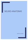 Samenvatting van het volledige vak neurowetenschappen en het practicum en uitwerking van alle oude en mogelijke nieuwe examenvragen van neurowetenschappen (behaald resultaat 17/20)