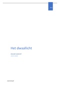 Boekverslag Nederlands  Het dwaallicht, Willem Elsschot