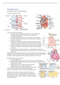 Summary Circulatory tract lectures