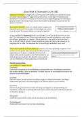 Samenvatting Blok 1 &plus; 2 &vert; Sociaal Werker &vert; Capabel