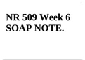 NR 509 Week 6 SOAP NOTE&period;