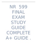 NR 599 FINAL EXAM STUDY GUIDE COMPLETE A&plus; GUIDE&period;