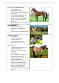 Flashcards Paarden-, Varkens- en Konijnenrassen