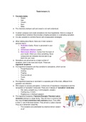 Summary taste lectures Molecular Gastronomy (FPH20806)