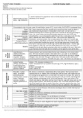 Comprehensive Assessment SOAP NOTE study guide