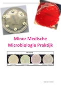 Minor Medische Microbiologie Praktijk blok 1 samenvatting Voordeelbundel