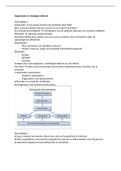 Samenvatting Economic Approaches to Organization, ISBN: 9781292128900  Supply Chain Management (325007-B-6)