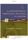 Illustrated Dental Embryology Histology and Anatomy 4th Edition Fehrenbach Test Bank.pdf