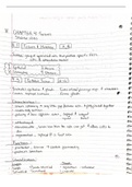 Handwritten Notes for Chapter 4: Epithelial and Connective Tissue (BSC 250) 
