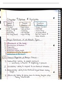 Chapter 9 Muscular System Notes (BSC 250) 