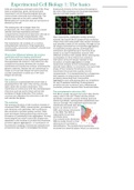 Experimental Cell Biology 1