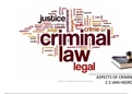 Foundation and Introduction to Criminal Law