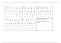 Karyotype worksheet 