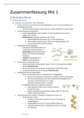 Summary  Molekulare Biologie 1 (Bio111)