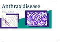 Anthrax Disease Presentation 