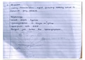 Morphology of rhizopus