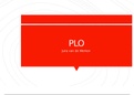 PLO toetsopdracht en presentatie 