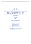 Leeruitkomst B (LUK-B). Social Work HAN 3e leerjaar.