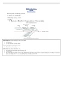 HESI Critical Care Cardiac Hemodynamics