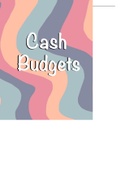 Cash Budgets Grade 11 & 12 IEB & DBE notes 