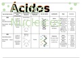 Los Ácidos Nucleicos