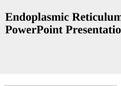 Endoplasmic Reticulum PowerPoint Presentation