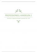 Professioneel Handelen 2 Samenvatting