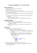 IB Molecular Biology and Nucleic Acids Notes