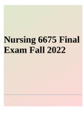 Nursing 6675 Final Exam Fall 2022