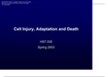 Cell-Injury-Adaptation-And-Death-2003-Nursing-Presentation&period;pdf