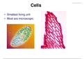 Cell-Physiology-Presentation-Notes-Nursing&period;ppt