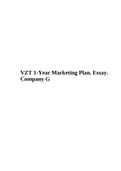 VZT 1-Year Marketing Plan. Essay. Company G.