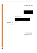 Verantwoordingsverslag CBP3.3