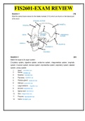 FIS1601 - EXAM REVIEW