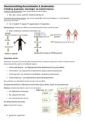 Samenvatting kennistoets 2 Anatomie leerjaar 1 fysiotherapie