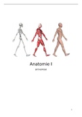 Samenvatting anatomie bewegingsapparaat