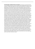 physiology of muscle contraction