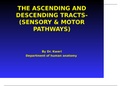 THE ASCENDING AND DESCENDING TRACTS