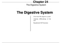urinary system, digestive system & respiratory system